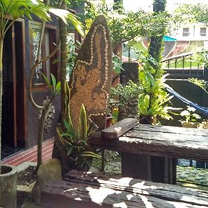 Mini Tiga Homestay
